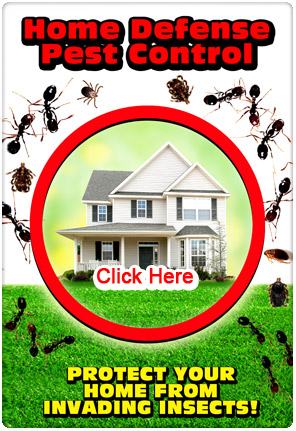 home defense pest control